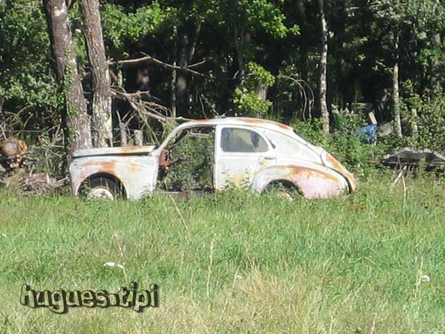 203Roaillan.jpg