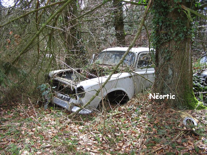 Peugeot 403