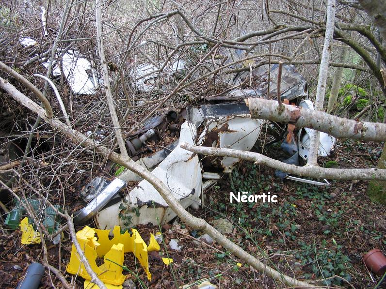 Neortic_0018.JPG