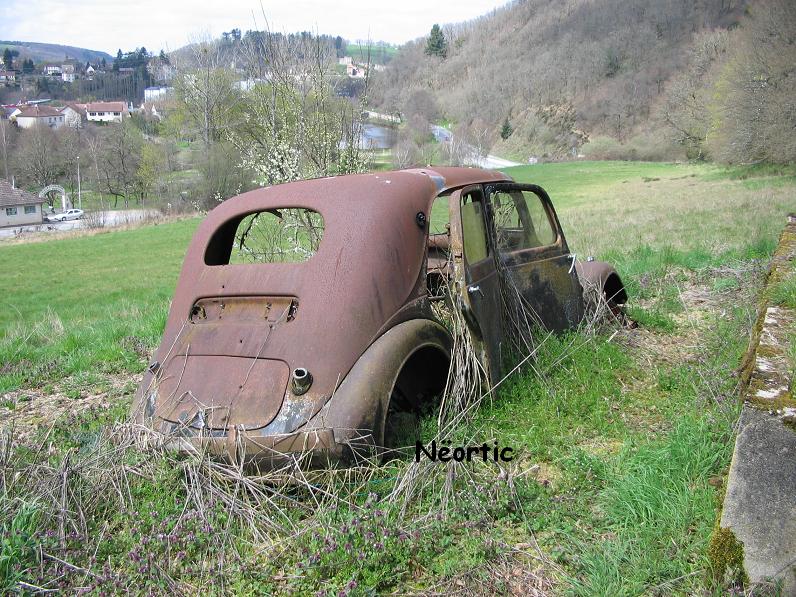 Neortic_00293.JPG