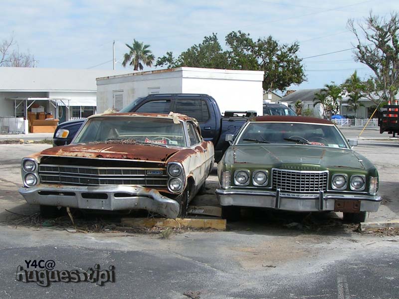 PICT0099xs.jpg
