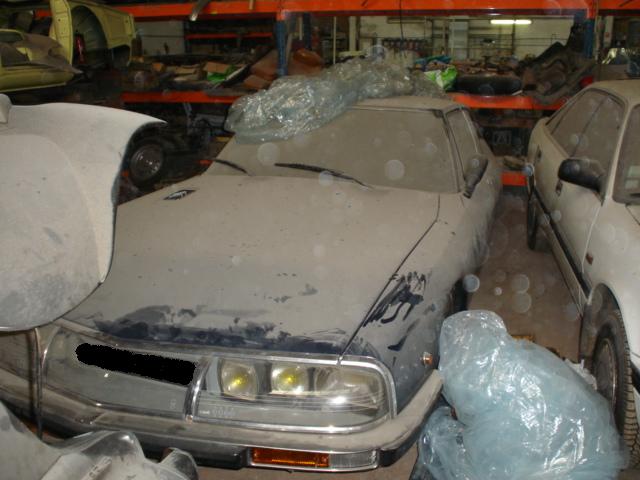 dsc016534ek.jpg