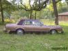 small/1981LincolnTownCar01.jpg