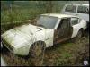 didj66_1134337199_matra.jpg